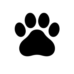 Blog about dogs